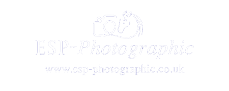 ESP_Logo transparent sml